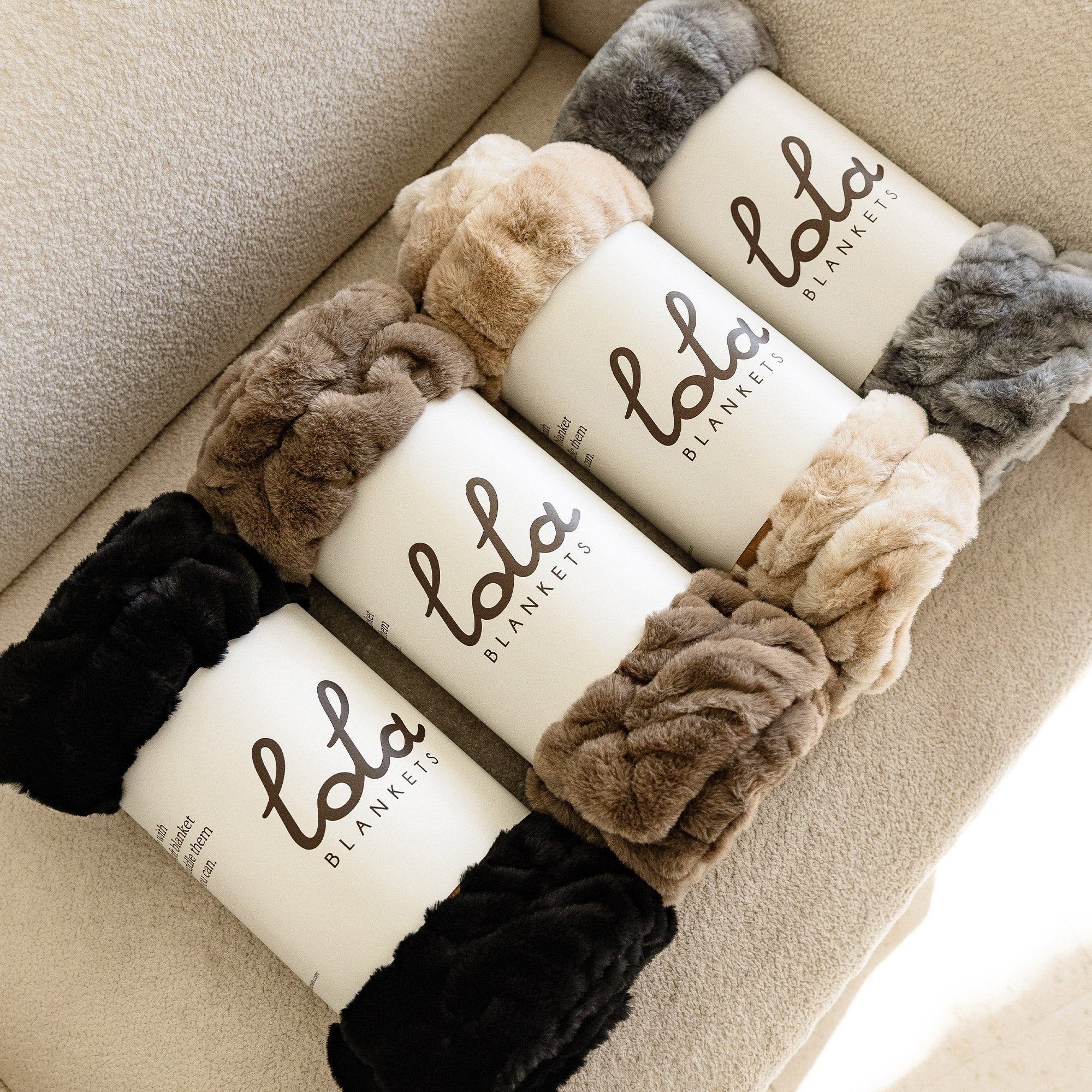 The Lola Pet Bundle - Image 3