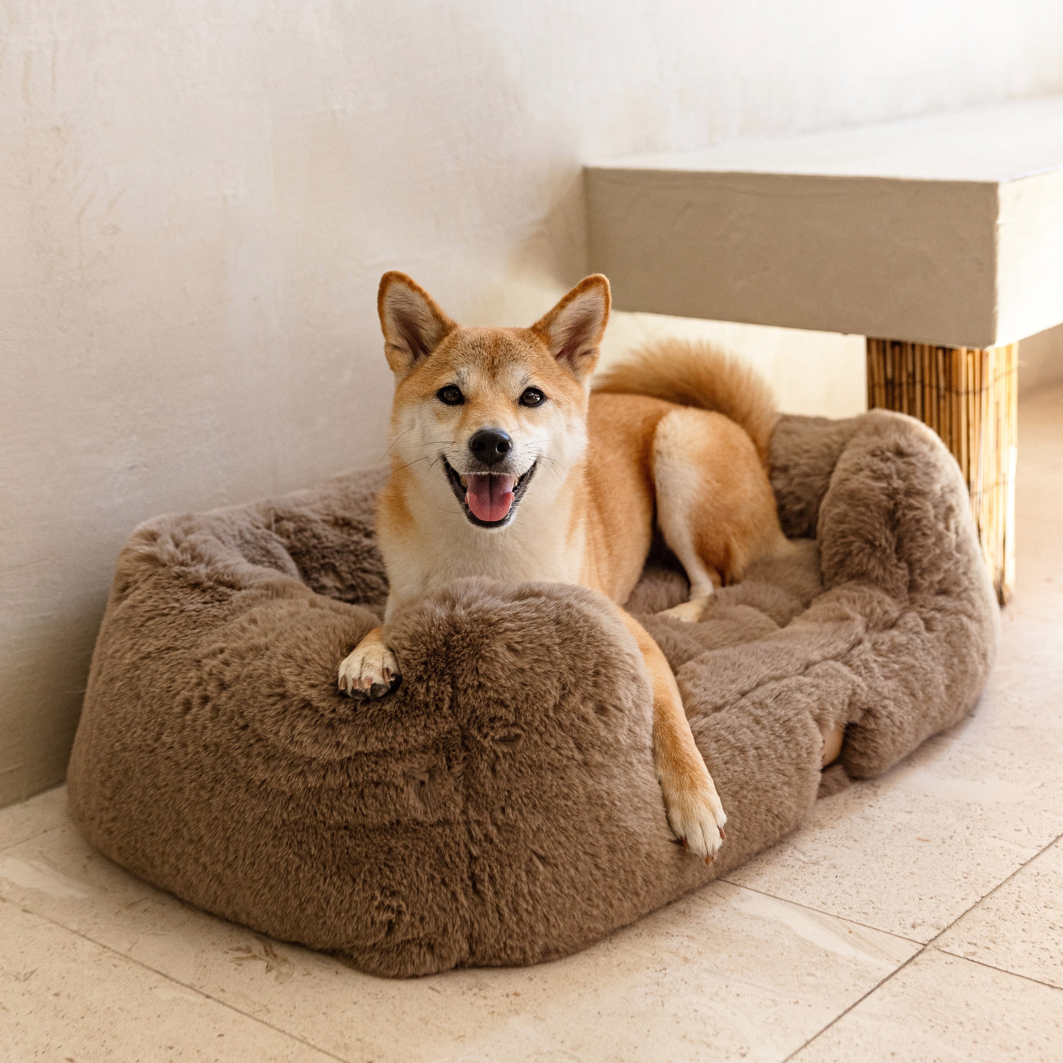 The Lola Pet Bed | Desert Dune - Image 3